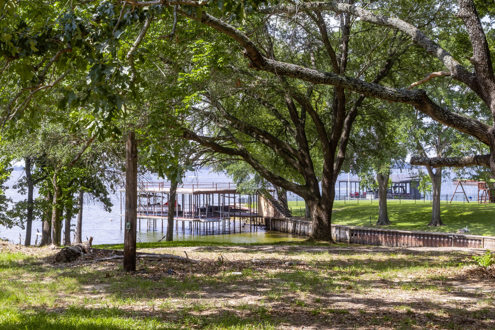 Heritage oak over the shoreline and dock